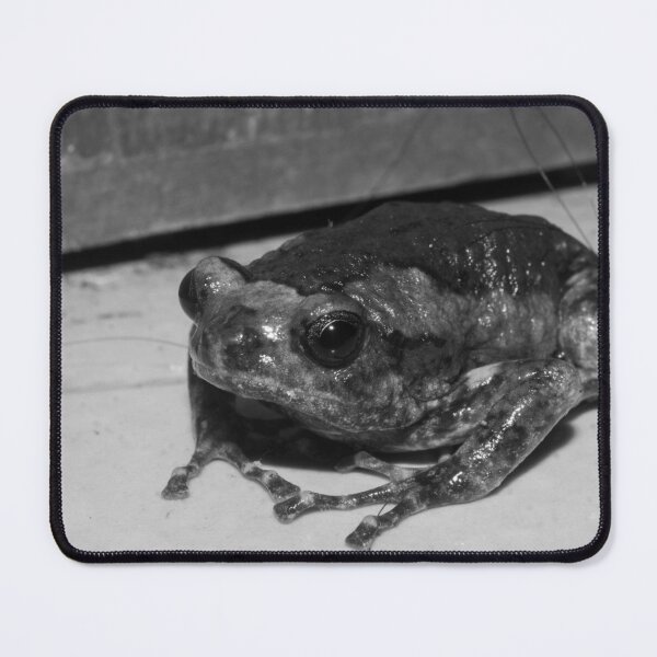 Item preview, Banded Bullfrog designed and sold by ROSE ANN BANILAR.