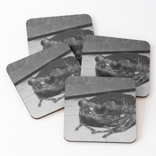 Item preview, Banded Bullfrog designed and sold by ROSE ANN BANILAR.