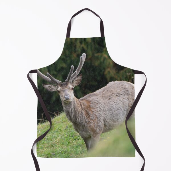 Item preview, Majestic Nightwish Band dForest Wanderer designed and sold by Blosslandscape.