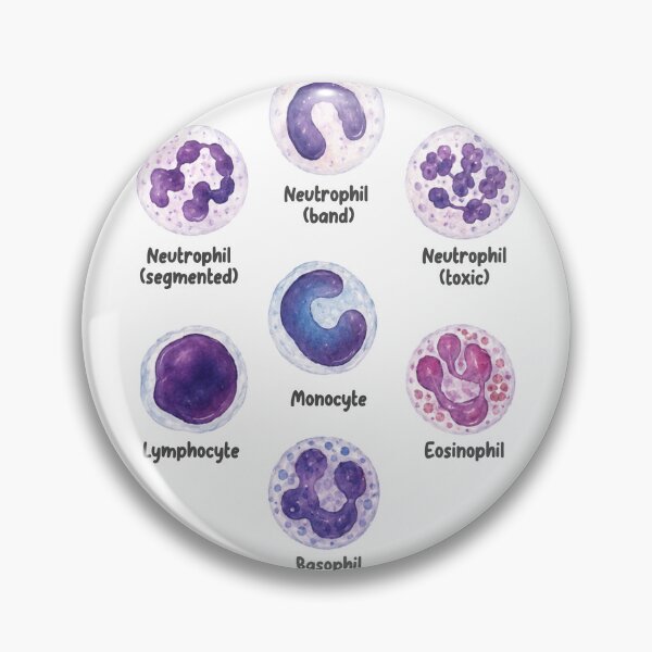 Item preview, Veterinary White Blood Cells  designed and sold by introVETed.