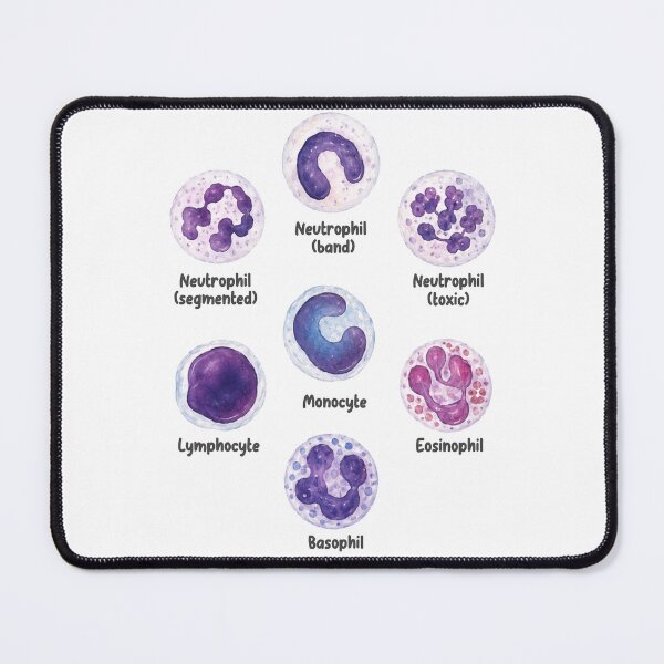 Item preview, Veterinary White Blood Cells  designed and sold by introVETed.
