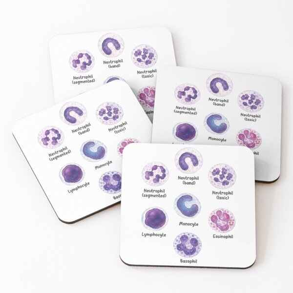 Item preview, Veterinary White Blood Cells  designed and sold by introVETed.
