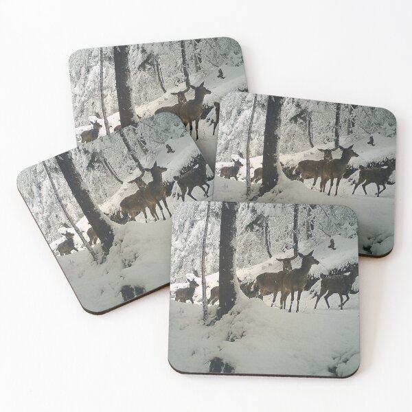 Item preview, Quiet Kodaline aWoodland Majesty designed and sold by Blosslandscape.