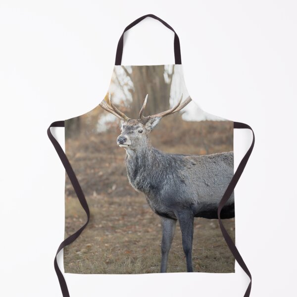 Item preview, Midnight Aurigny Air Services dForest Wanderer designed and sold by Blosslandscape.