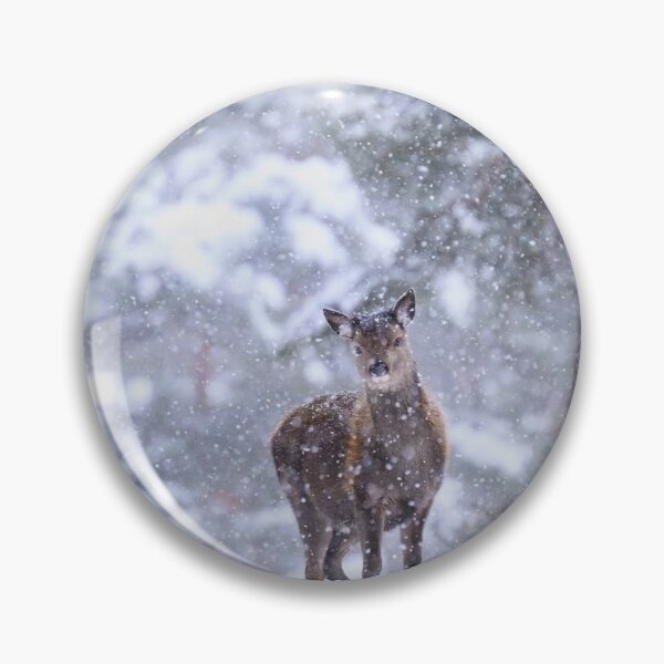 Item preview, Golden Magners Irish Cider cForest Guardian designed and sold by Blosslandscape.