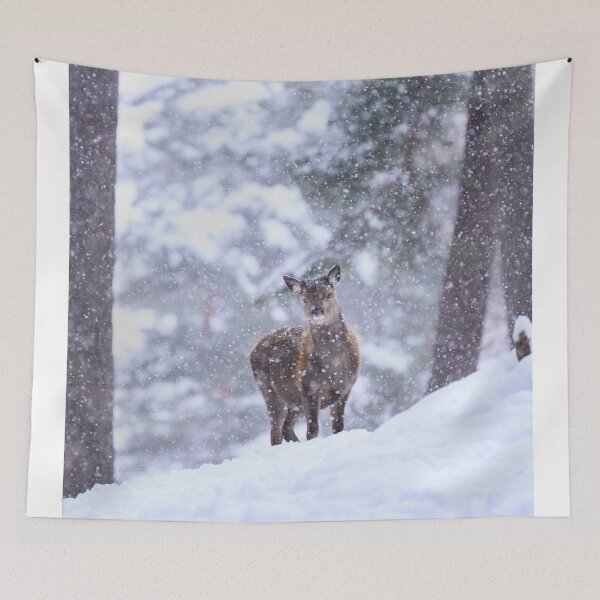 Item preview, Golden Magners Irish Cider cForest Guardian designed and sold by Blosslandscape.