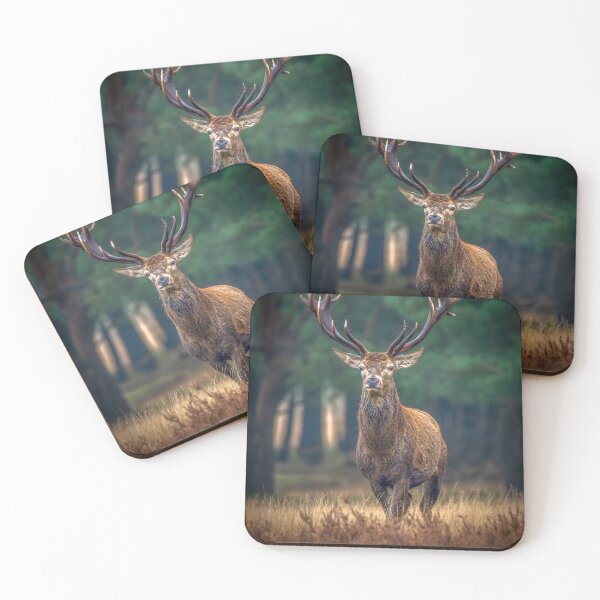Item preview, Forest Basshunter aKing Spirit designed and sold by Blosslandscape.