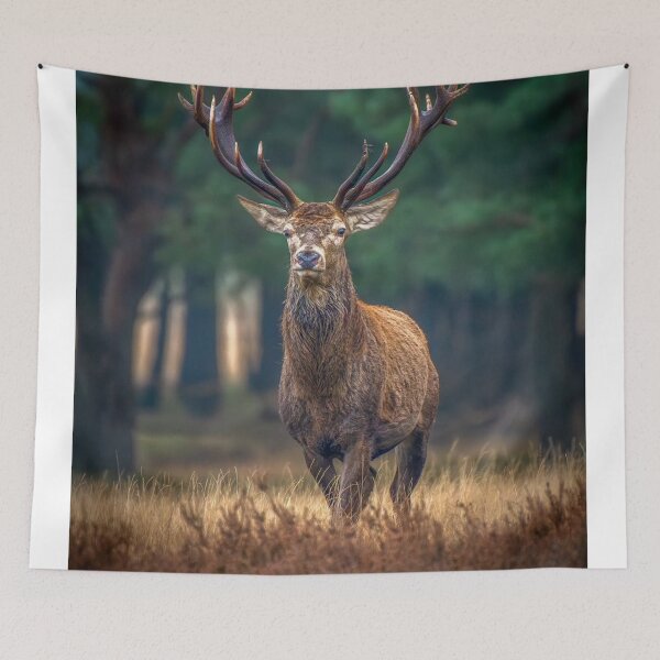 Item preview, Forest Basshunter aKing Spirit designed and sold by Blosslandscape.