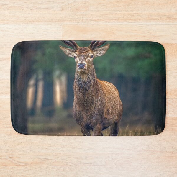 Item preview, Forest Basshunter aKing Spirit designed and sold by Blosslandscape.
