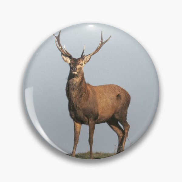 Item preview, Adventure Stiff Little Fingers aStag Journey designed and sold by Blosslandscape.