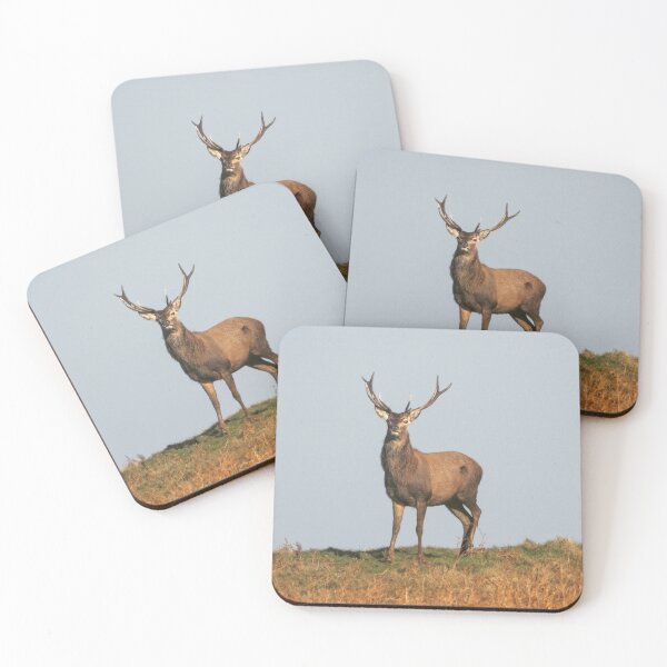 Item preview, Adventure Stiff Little Fingers aStag Journey designed and sold by Blosslandscape.