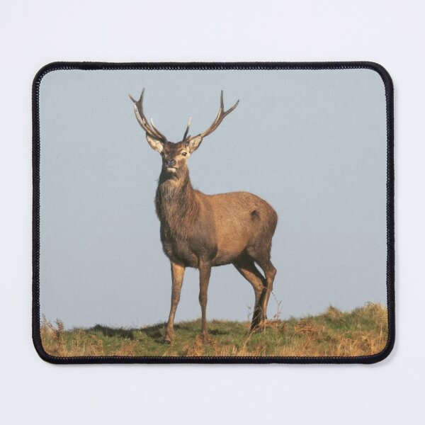 Item preview, Adventure Stiff Little Fingers aStag Journey designed and sold by Blosslandscape.