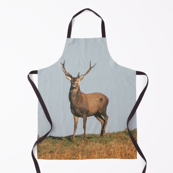 Item preview, Adventure Stiff Little Fingers aStag Journey designed and sold by Blosslandscape.
