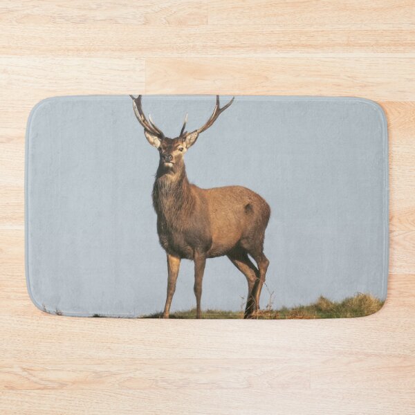 Item preview, Adventure Stiff Little Fingers aStag Journey designed and sold by Blosslandscape.