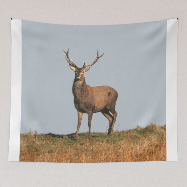 Item preview, Adventure Stiff Little Fingers aStag Journey designed and sold by Blosslandscape.