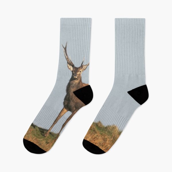 Item preview, Adventure Stiff Little Fingers aStag Journey designed and sold by Blosslandscape.