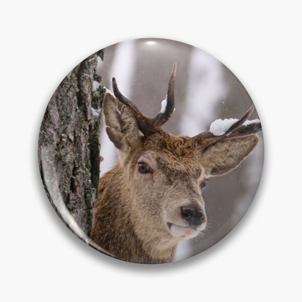 Item preview, Gentle Stiff Little Fingers Woodland Presence designed and sold by Blosslandscape.