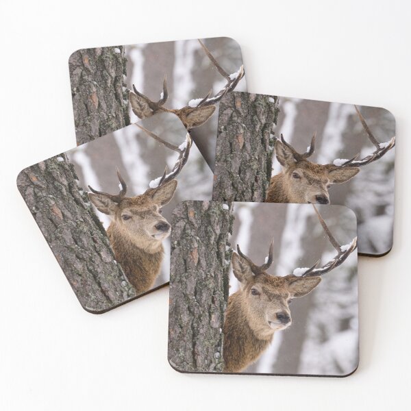 Item preview, Gentle Stiff Little Fingers Woodland Presence designed and sold by Blosslandscape.