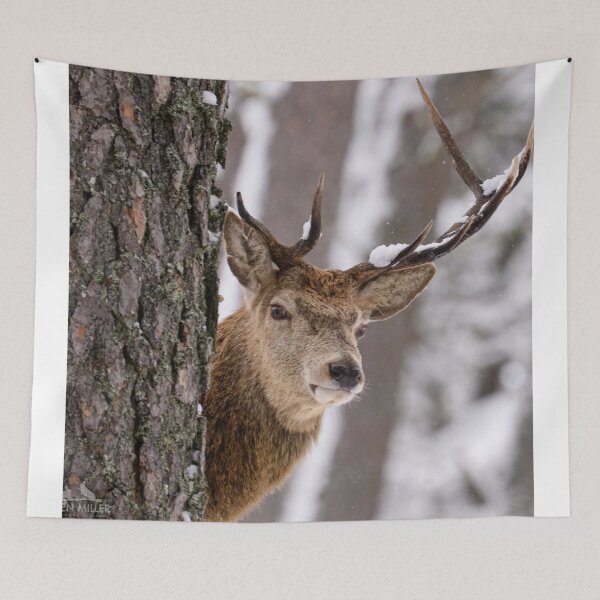Item preview, Gentle Stiff Little Fingers Woodland Presence designed and sold by Blosslandscape.