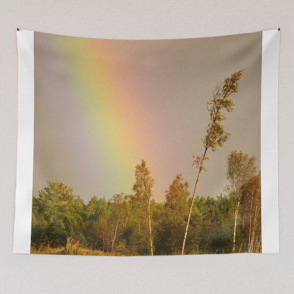 Item preview, Northern Abc Country Radio Forest Majesty designed and sold by Blosslandscape.