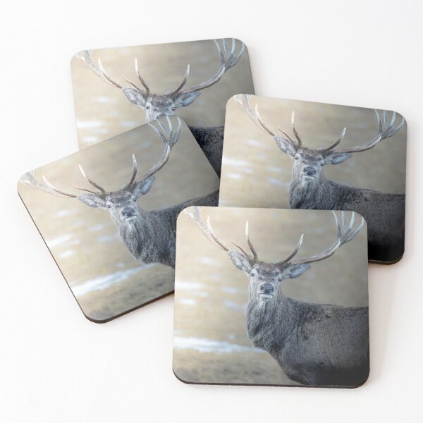 Item preview, Free Mandarin Oriental Hotels aSpirit Antlers designed and sold by Blosslandscape.