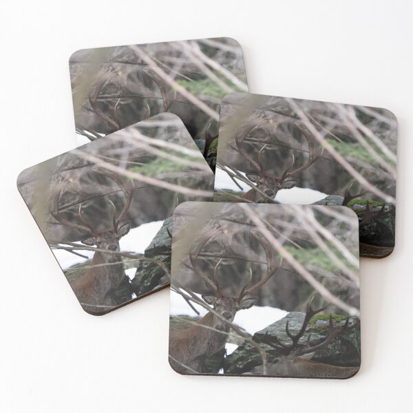 Item preview, Woodland Tanqueray Vodka aSunset Stag designed and sold by Blosslandscape.