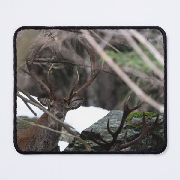 Item preview, Woodland Tanqueray Vodka aSunset Stag designed and sold by Blosslandscape.
