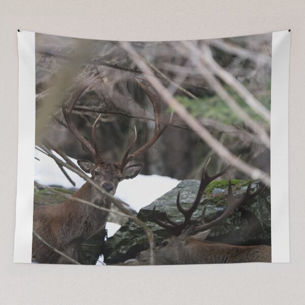 Item preview, Woodland Tanqueray Vodka aSunset Stag designed and sold by Blosslandscape.