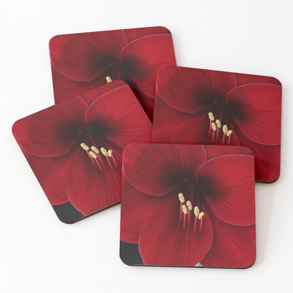 Item preview, Amaryllis Glow designed and sold by Natrual0903.