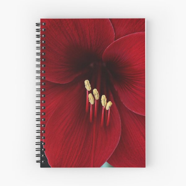 Item preview, Amaryllis Glow designed and sold by Natrual0903.