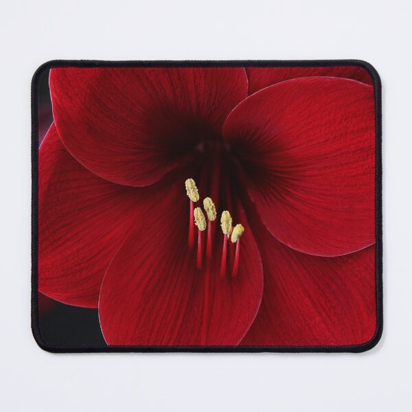 Item preview, Amaryllis Glow designed and sold by Natrual0903.