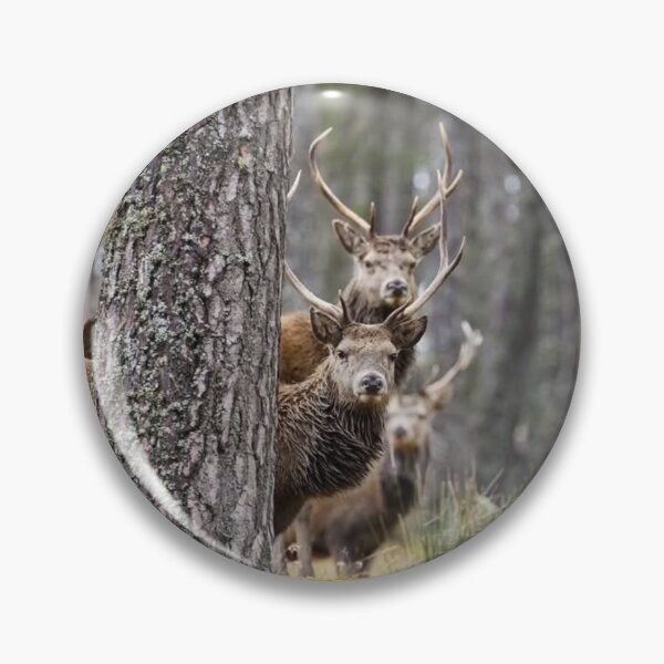 Item preview, Tranquil Ski Doo bForest Antlers designed and sold by Blosslandscape.