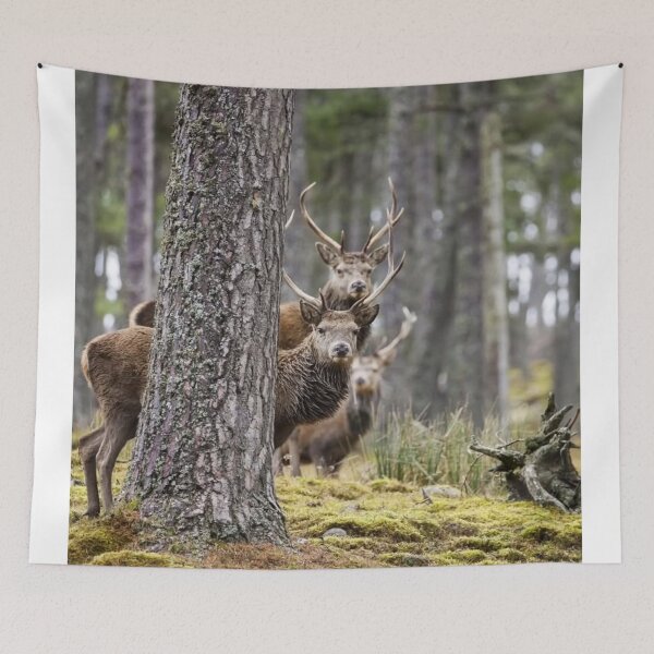 Item preview, Tranquil Ski Doo bForest Antlers designed and sold by Blosslandscape.