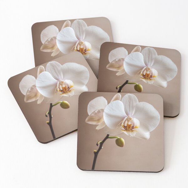 Item preview, White Moth Orchid - Minimalist Botanical Fine Art designed and sold by SlowRegardArt.