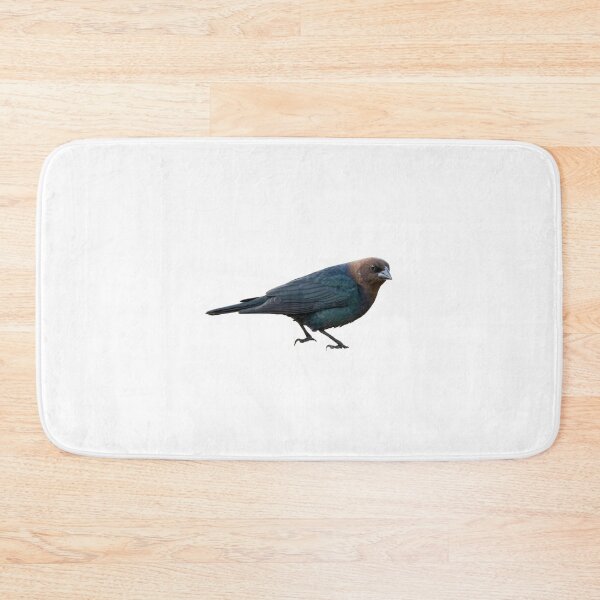 Item preview, Brown-Headed Cowbird designed and sold by kyra0nicole.
