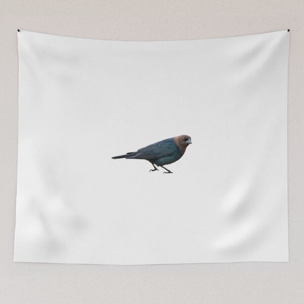 Item preview, Brown-Headed Cowbird designed and sold by kyra0nicole.