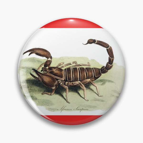 Item preview, Forest Scorpion designed and sold by hec60504.