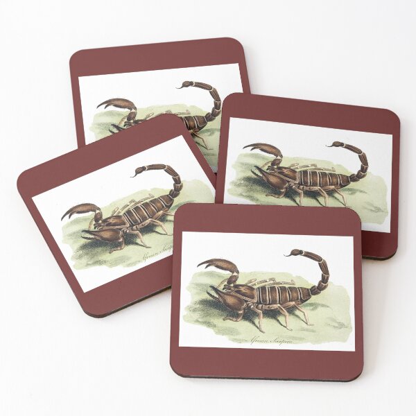 Item preview, Forest Scorpion designed and sold by hec60504.