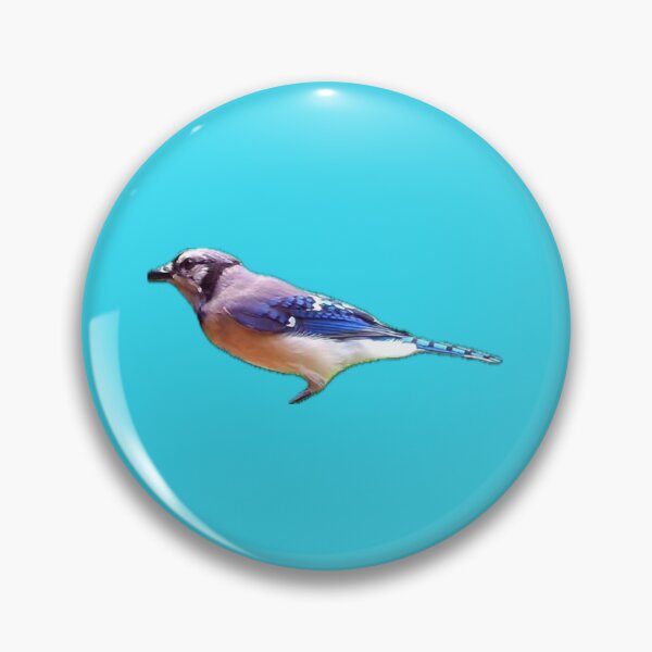 Artikelvorschau, Bluejay entworfen und verkauft von Punkinchunk.