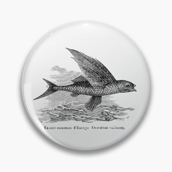 Item preview, Flying Fish designed and sold by hec60504.