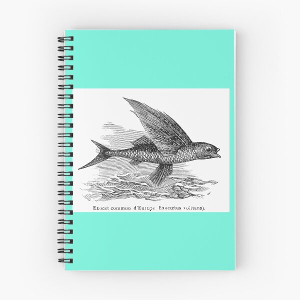 Item preview, Flying Fish designed and sold by hec60504.