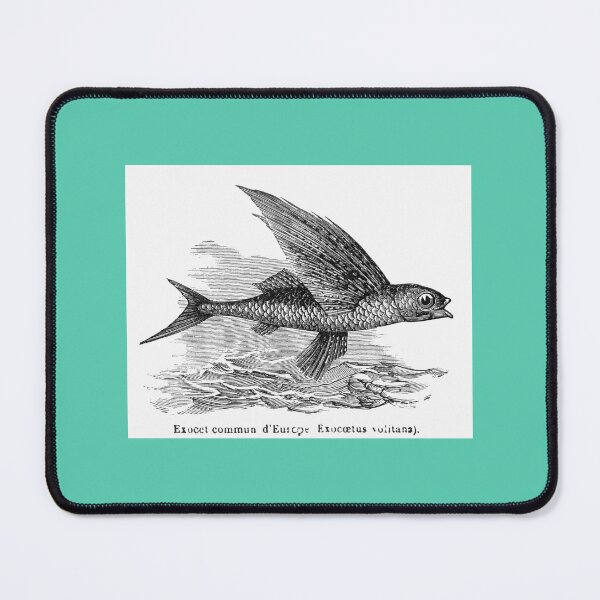 Item preview, Flying Fish designed and sold by hec60504.