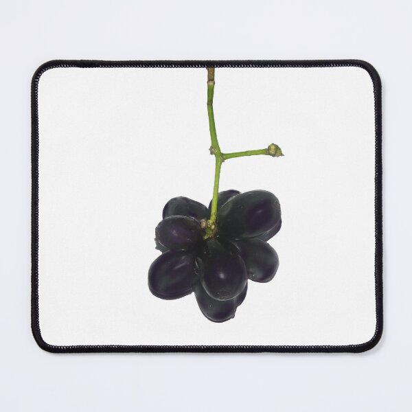 Item preview, Fresh Syzygium cumini bunch isolated on transparent background, Java plum or Jamun fruit PNG designed and sold by Ployphaiphai .