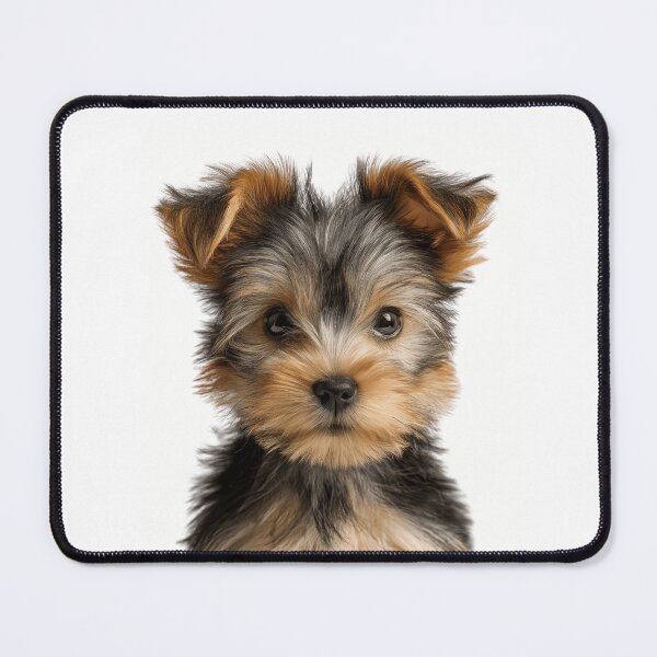 Item preview, Adorable Silky Terrier Puppy for Cute Silky puppy lovers designed and sold by LazyOwlStore.