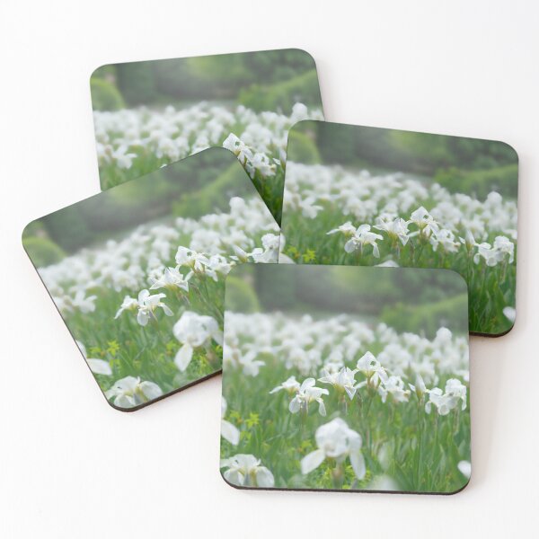 Item preview, White Irises designed and sold by Alisonchambers2.