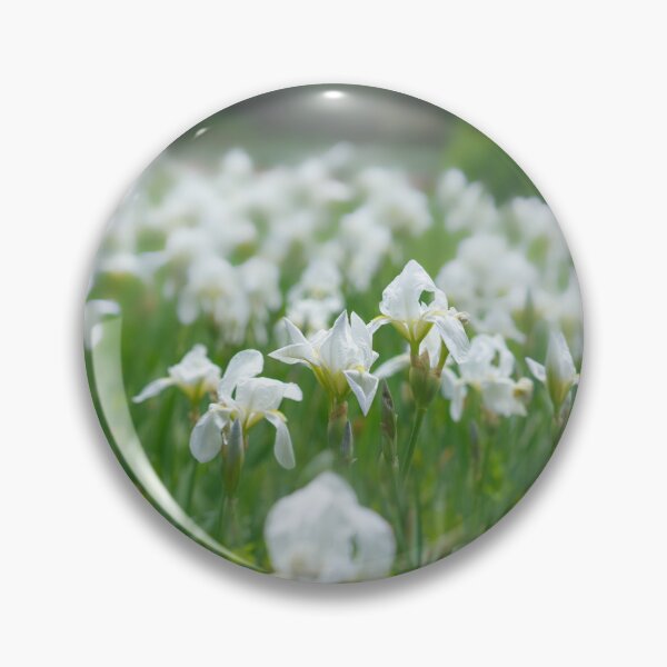 Item preview, White Irises designed and sold by Alisonchambers2.