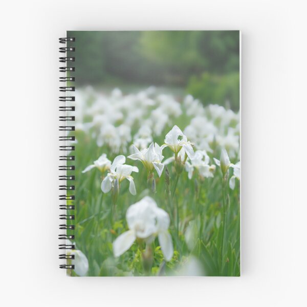 Item preview, White Irises designed and sold by Alisonchambers2.