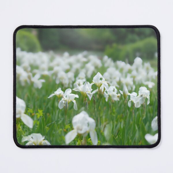 Item preview, White Irises designed and sold by Alisonchambers2.