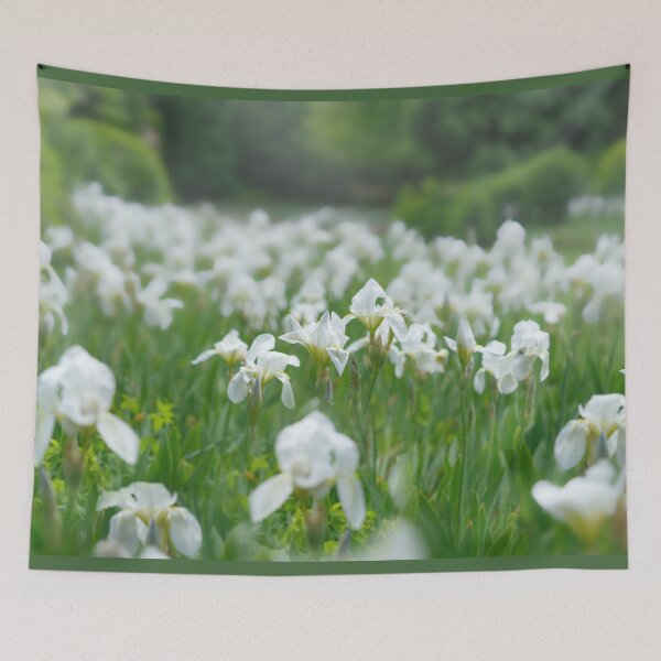 Item preview, White Irises designed and sold by Alisonchambers2.
