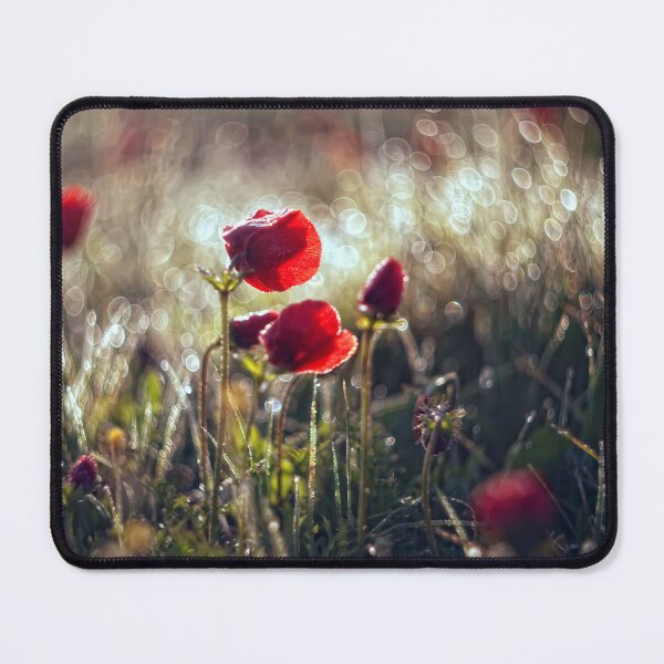 Item preview, Spring poppies designed and sold by zacharrise.